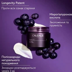 Anti-Aging-Gesichtscreme mit Hyaluronsäure (Refill)