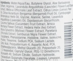 Feuchtigkeitsspendendes Gesichtstonikum-Spray mit Minze und Aloe Vera