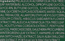 Gesichtstonikum für Problemhaut mit Teebaum