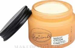 Regenerierende Anti-Aging Nachtcreme mit Blaubeerextrakt